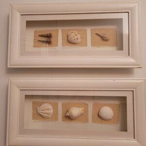 SeaShell Shadow Boxes